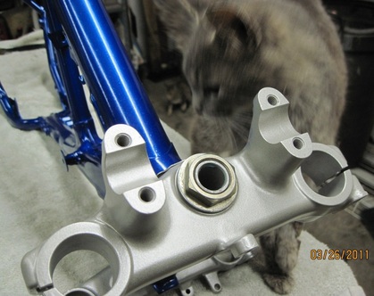 Honda XR200 frame and Moto the Shop Cat